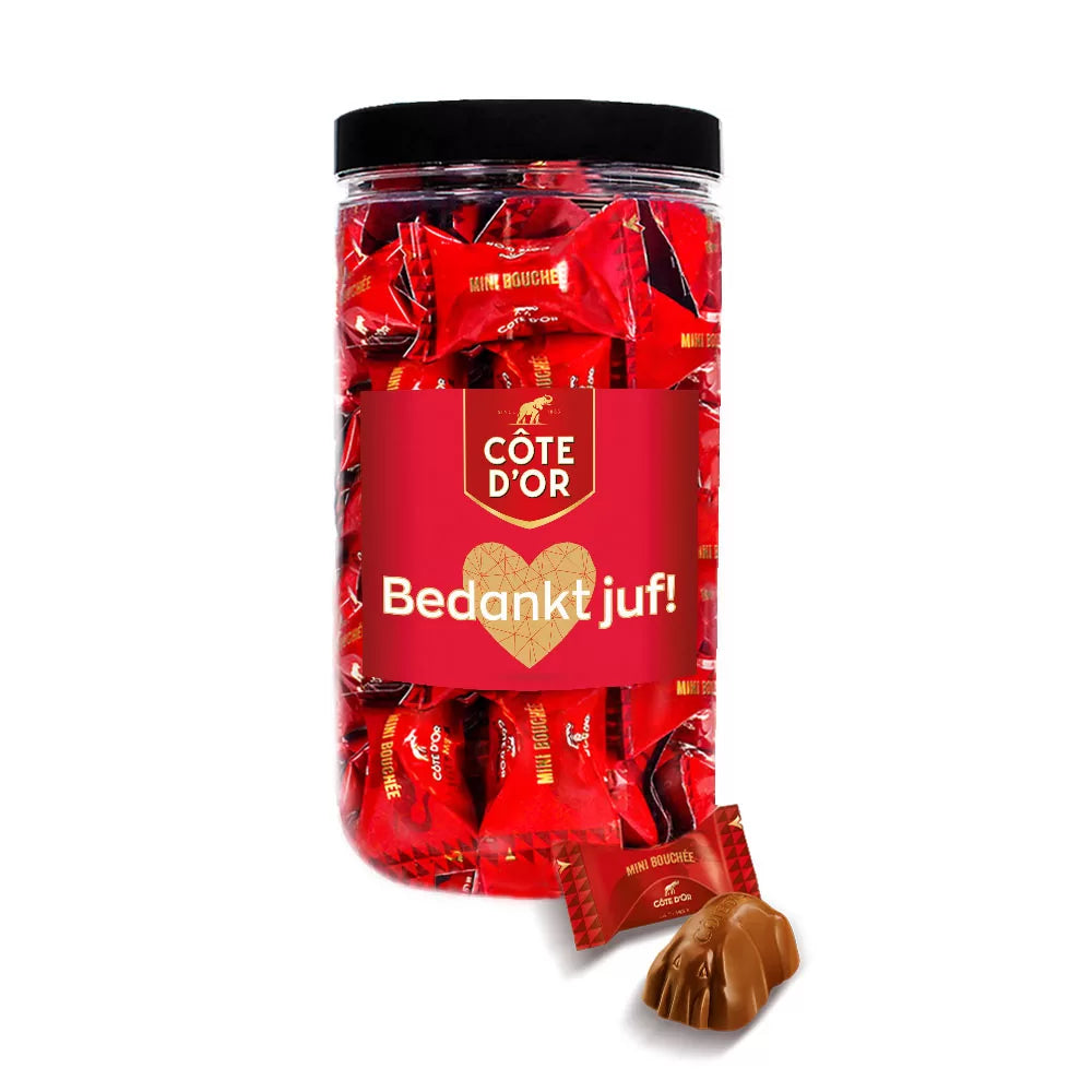 Côte d'Or chocoladepakket voor juf - "Bedankt juf" - Mini Bouchée & chocoladerepen - 775g