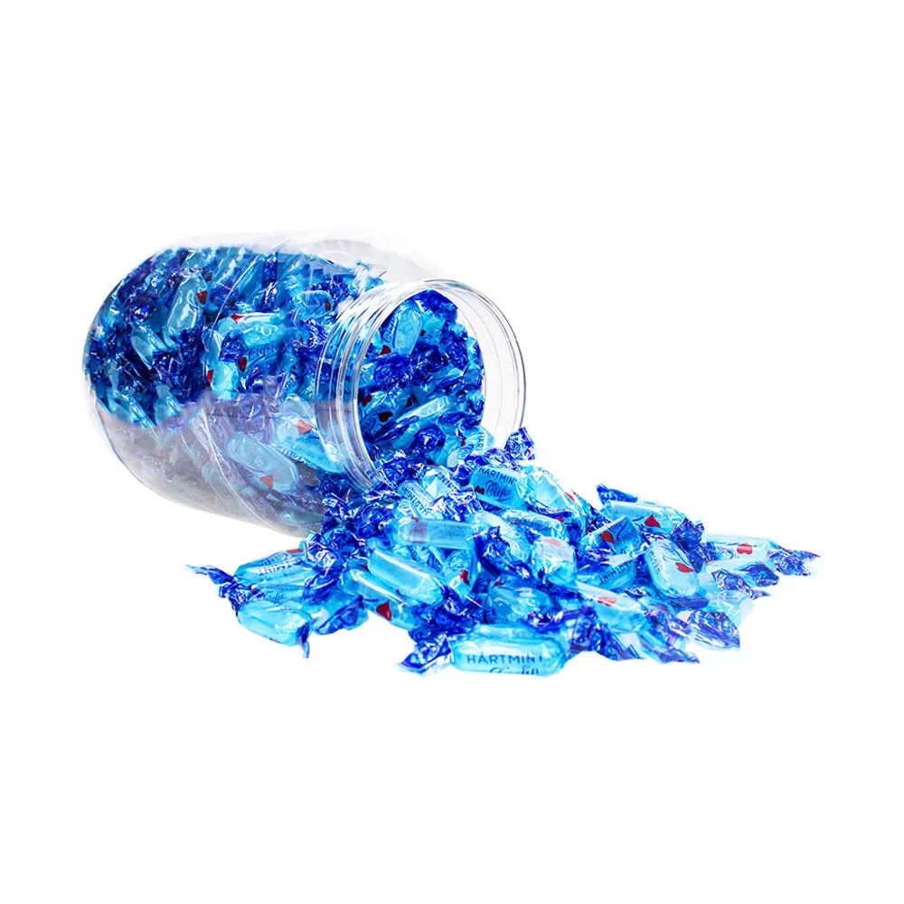 Trefin Hartmint - hard snoep met mintsmaak - nostalgisch snoep - 1850g